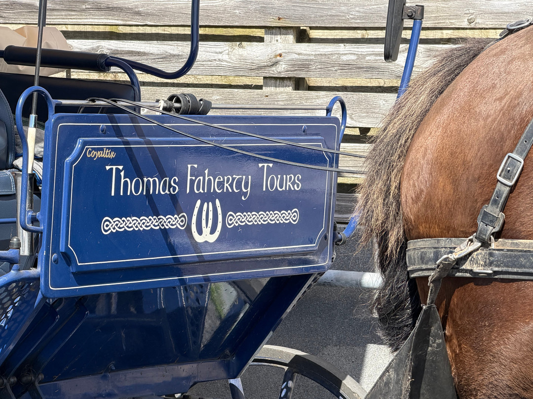 Thomas Faherty Tours-Inishmore必去景点