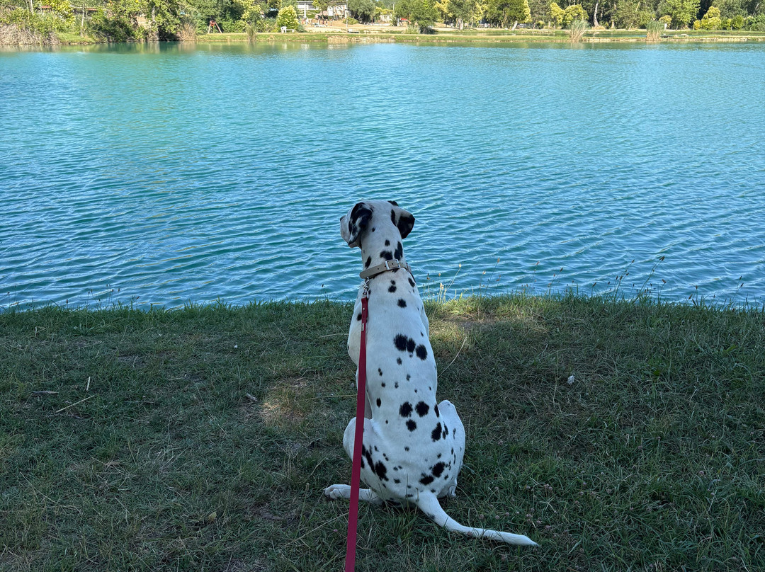 Trodica旅游景点-Hakuna Matata lake park