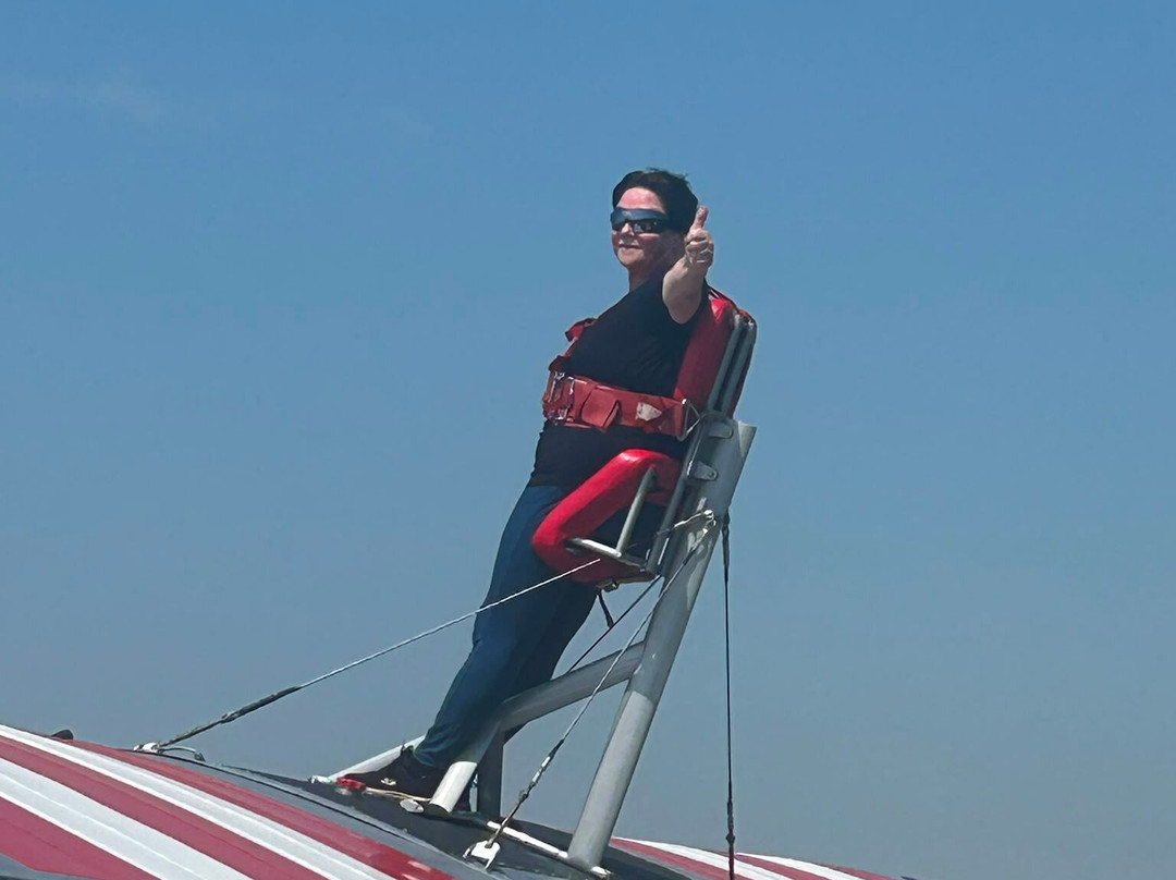 The Wing Walk Company-Headcorn必去景点