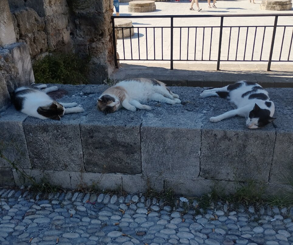 Old Town of Rhodes-罗德城必去景点