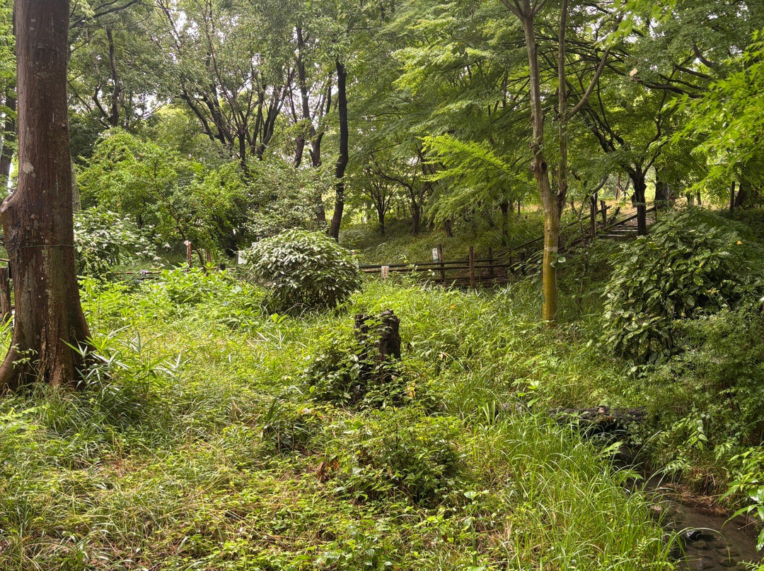 Moriyama Firefly Museum-守山市必去景点