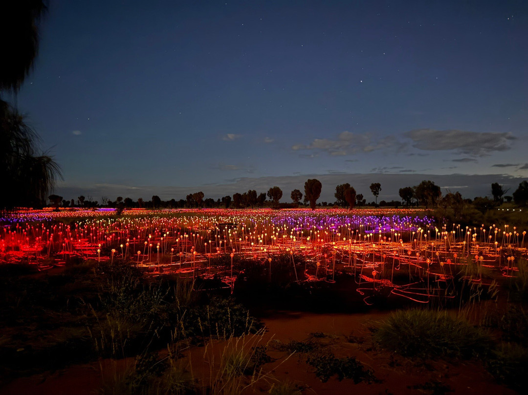 Field of Light-乌鲁鲁-卡塔丘塔国家公园必去景点