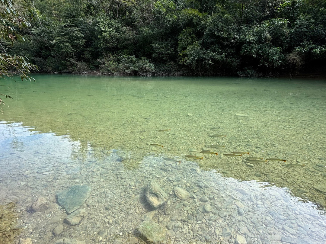 Cachoeira Boca da Onça-Bodoquena必去景点