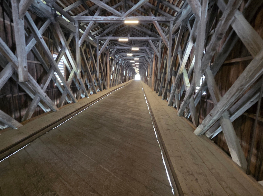 Alte Rheinbrücke Vaduz-Sevelen-瓦杜兹必去景点