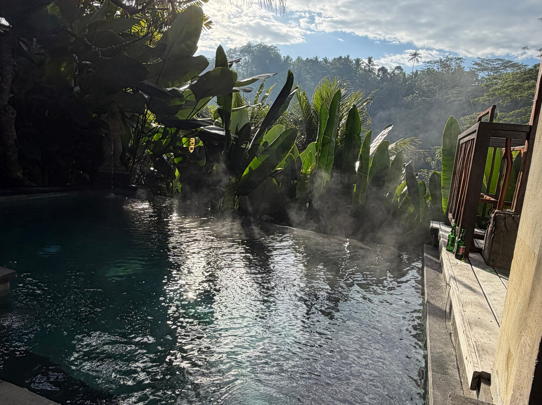 The Kayon Jungle Resort  (Adult Only)主图