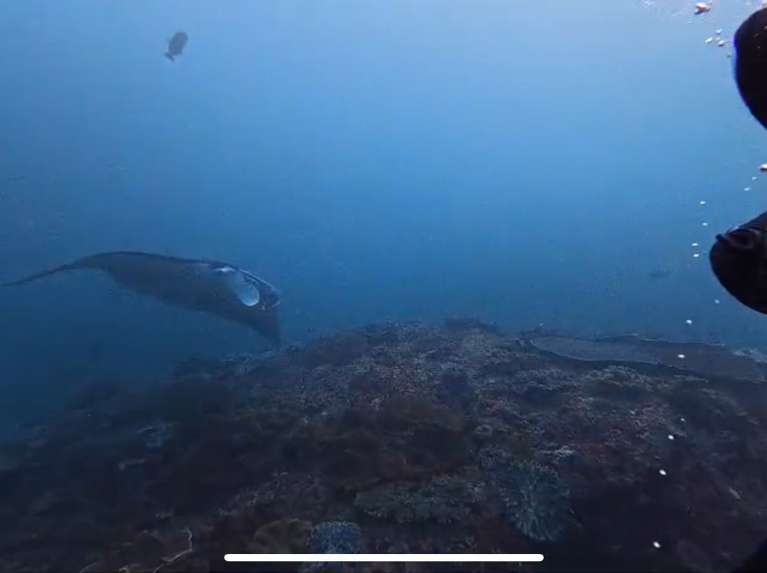 Dune Penida Dive Center-珀尼达岛必去景点