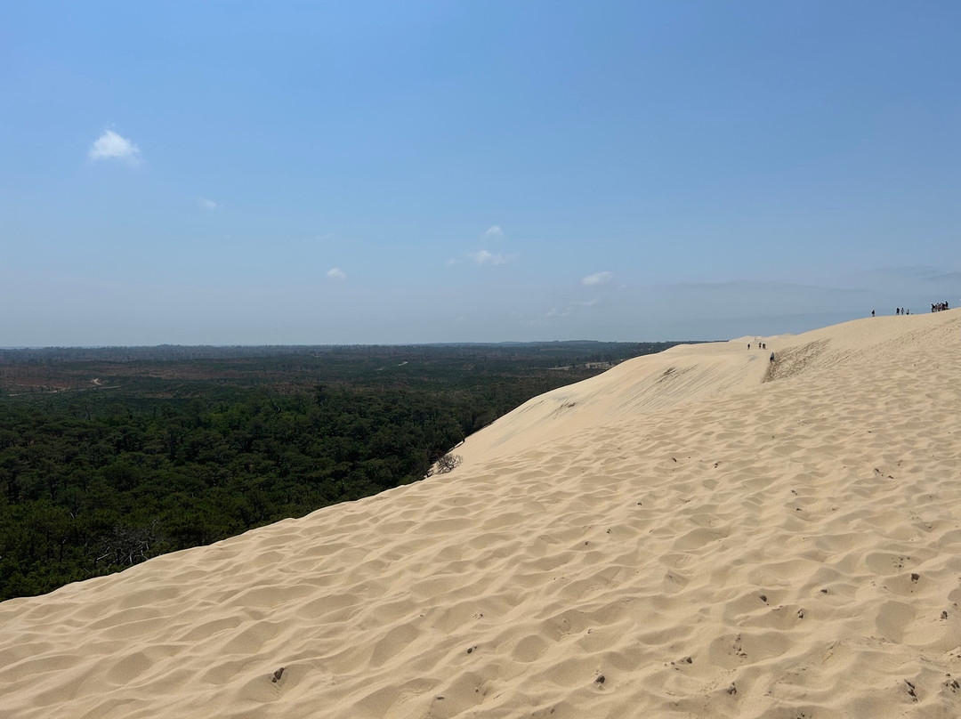 Great Dune of Pilat-拉泰斯特德比克必去景点