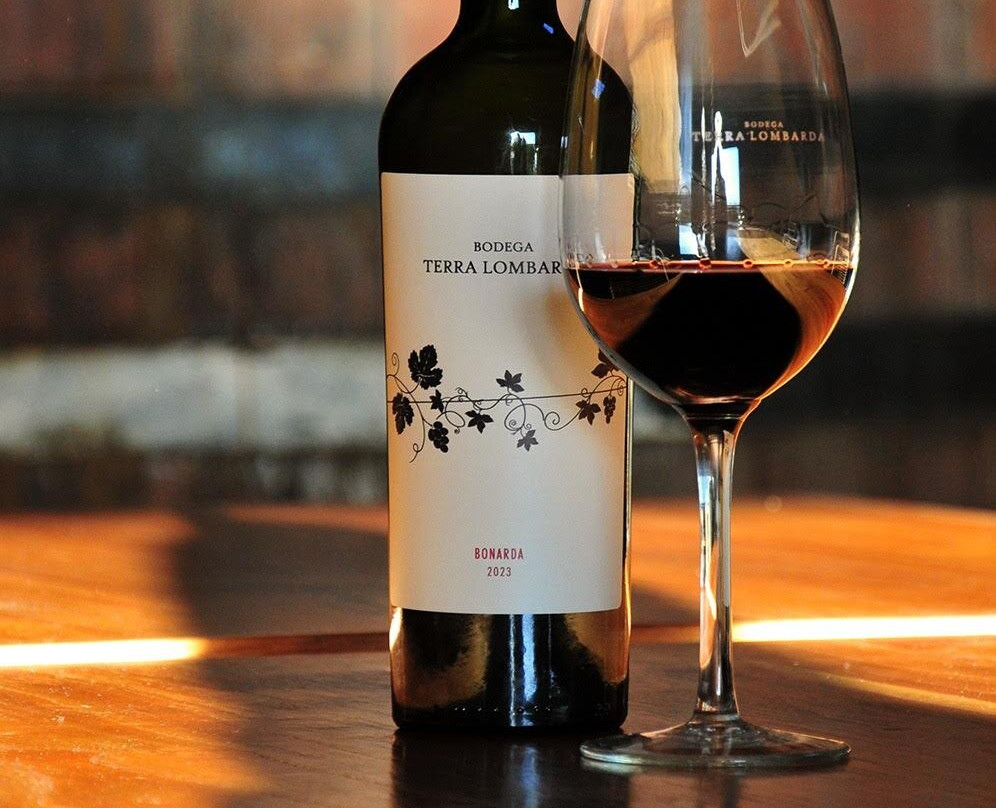 Bodega Terra Lombarda-圣拉斐尔必去景点
