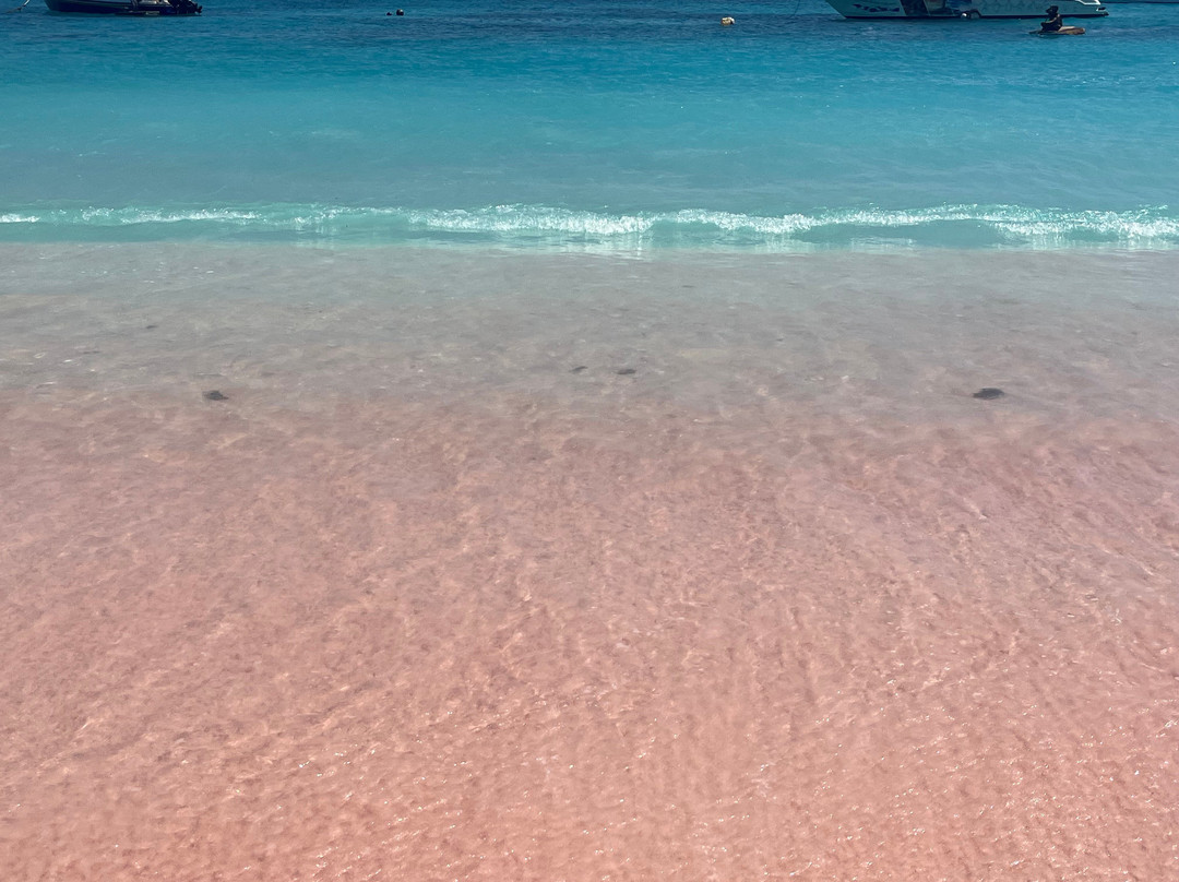 Pink Beach-科莫多必去景点