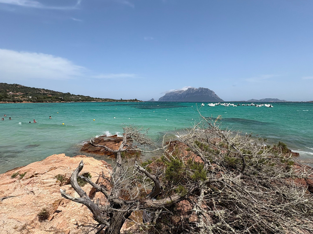 Porto Istana Beach-奥尔比亚必去景点