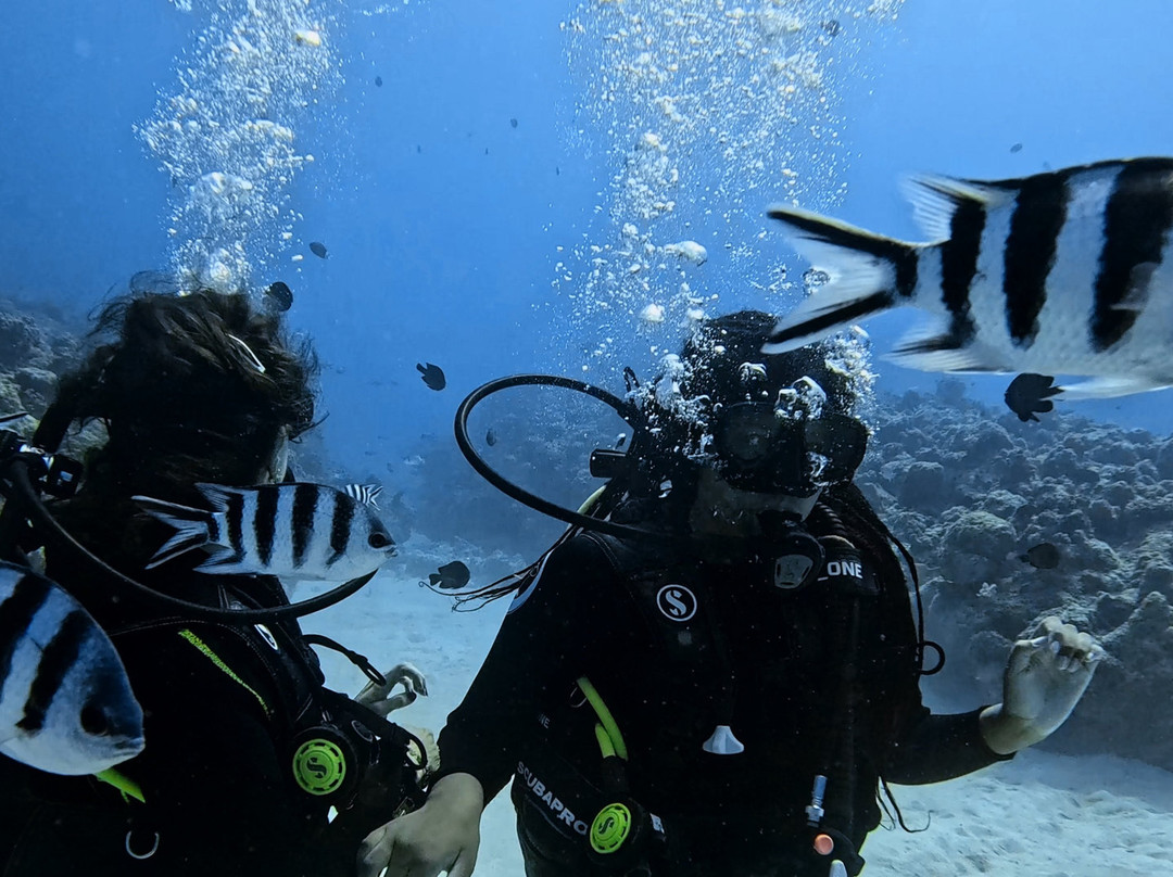 Bigorno Diving Center Mauritius-卓欧毕雪必去景点