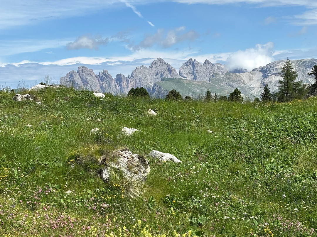 Passo Sella-塞尔瓦迪加尔代纳必去景点