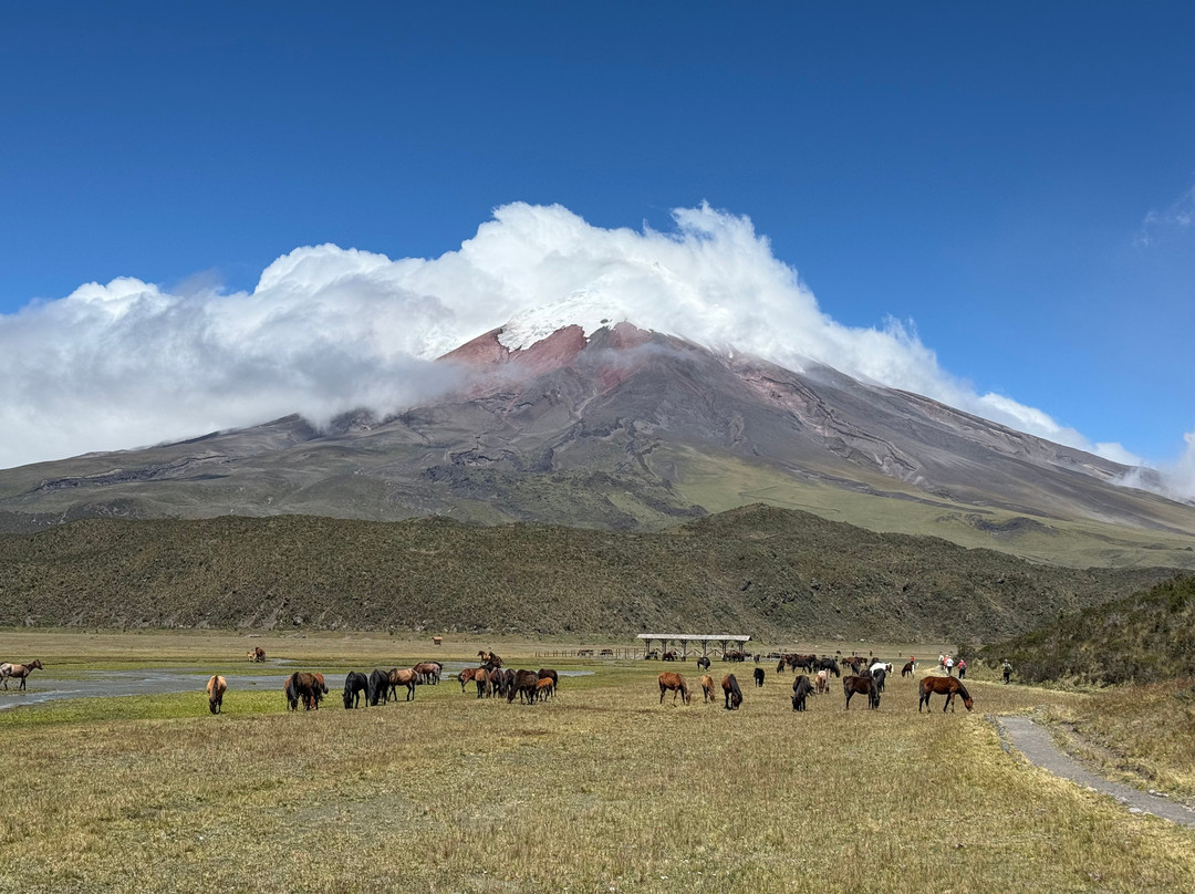 Cotopaxi National Park-Cotopaxi Province必去景点