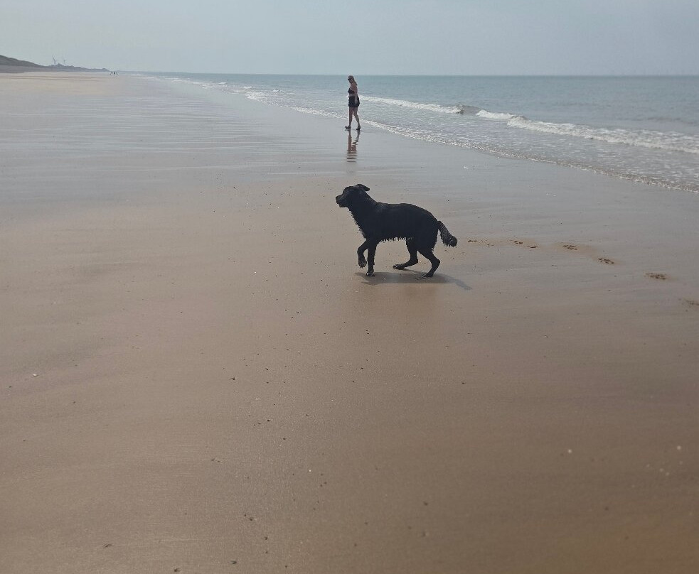 Silecroft Beach-Silecroft必去景点