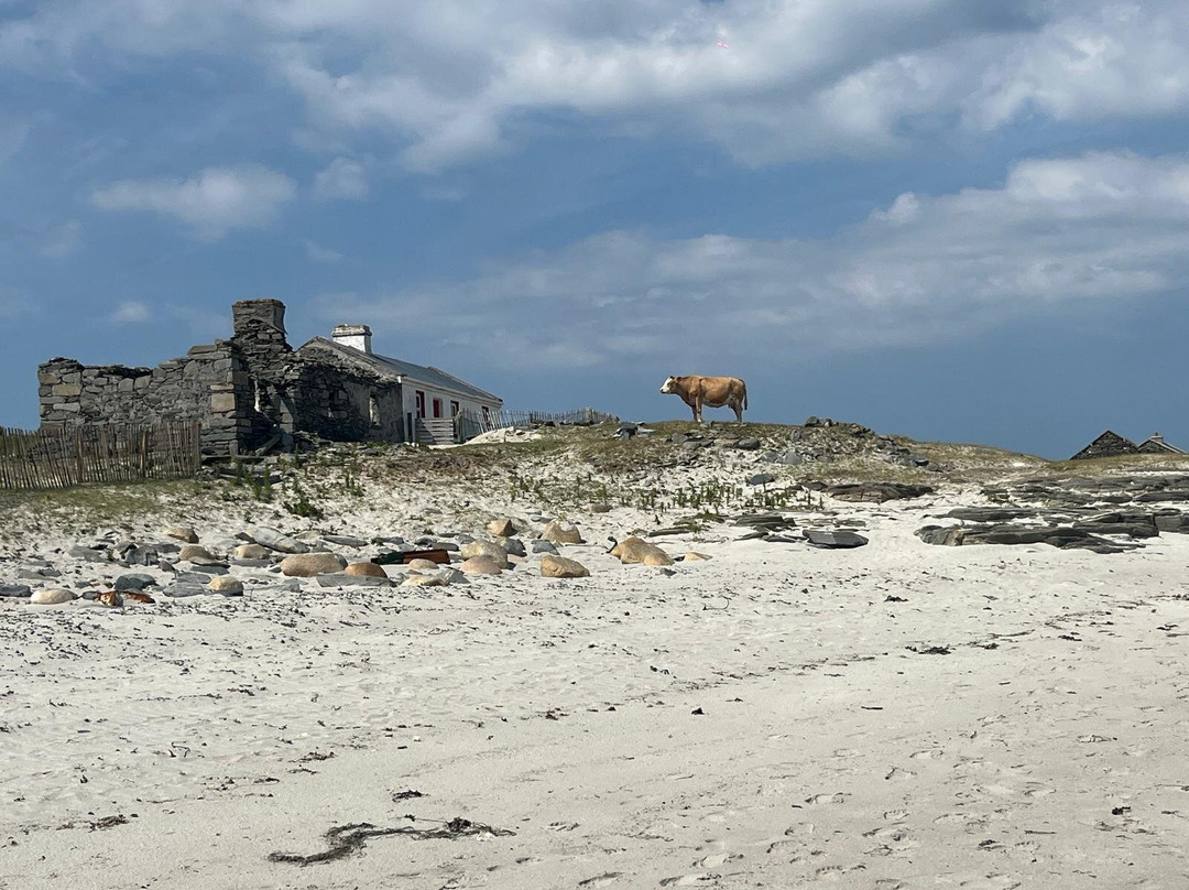 Belmullet Boat Charters - Inishkea Ferry & Sea Safari Tours-Belmullet必去景点
