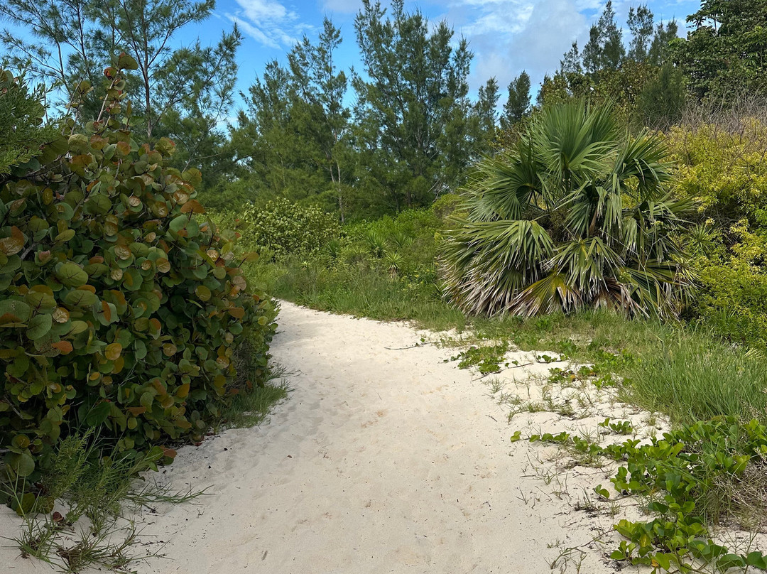 Jobson's Cove Beach-Warwick Parish必去景点