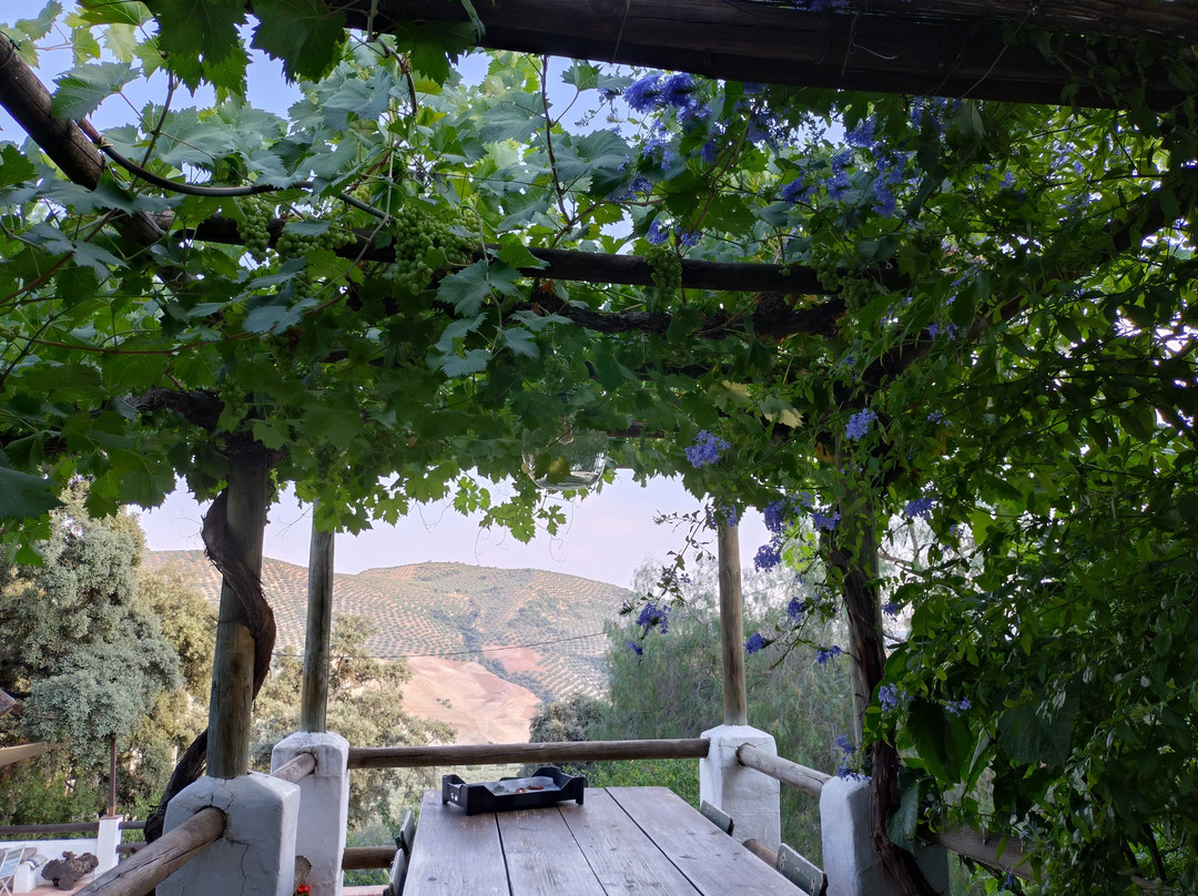 Gourmet B&B Finca Las Encinas主图