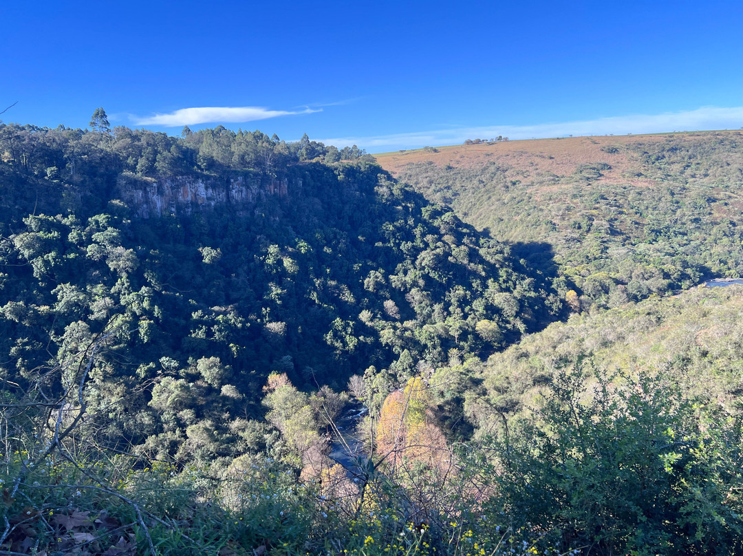 Howick Falls-豪威克必去景点