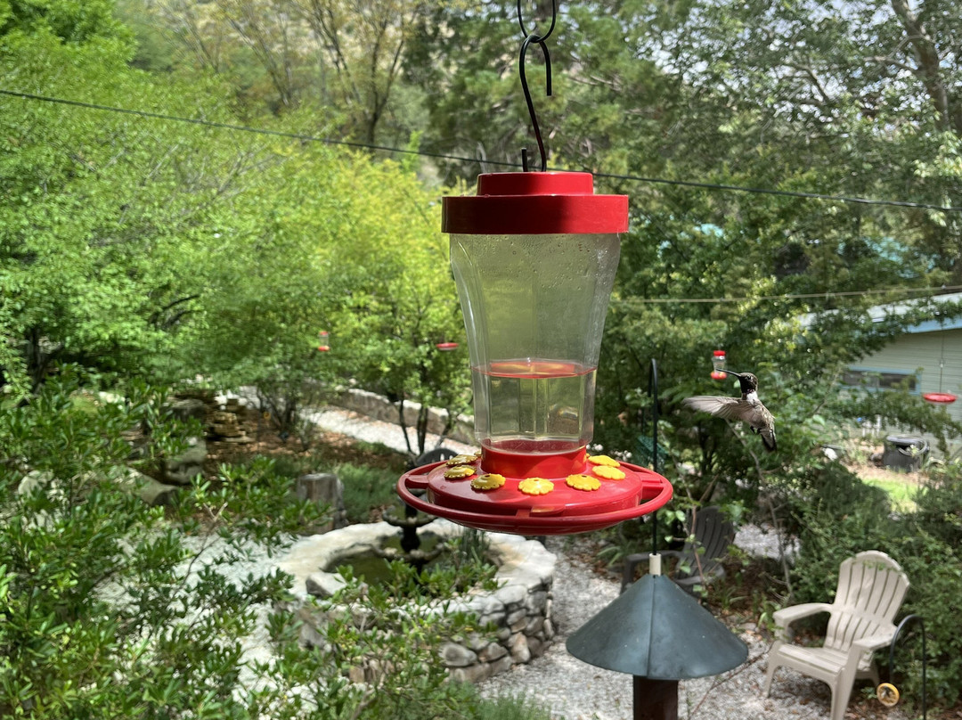 Ramsey Canyon Inn Bed and Breakfast主图