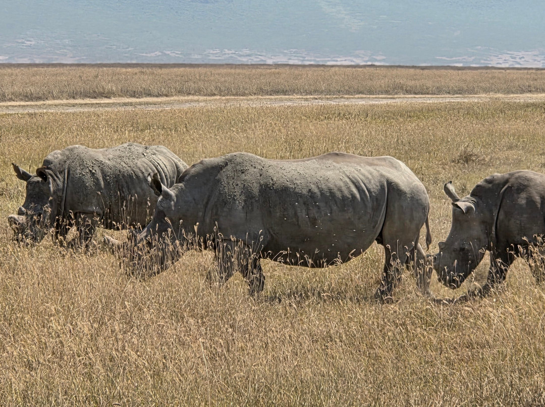 Furahia Tanzania Safari & Trekking Ltd-阿鲁沙必去景点