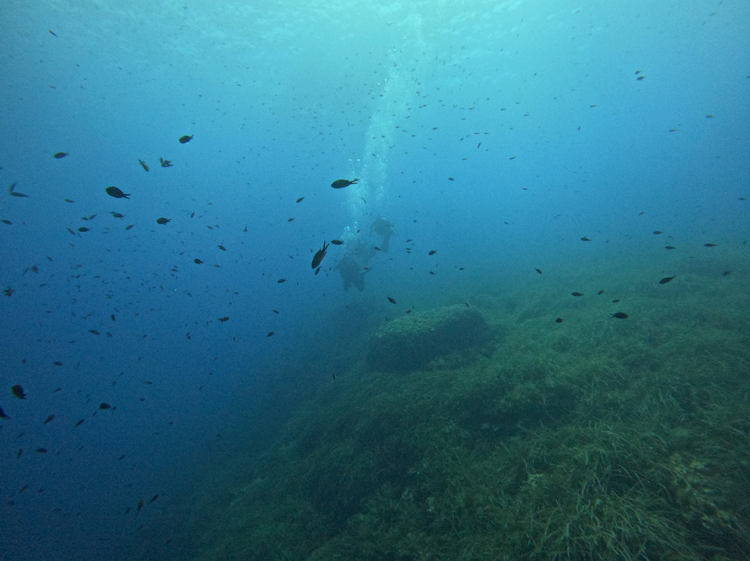 Bluelba Diving-厄尔巴岛必去景点