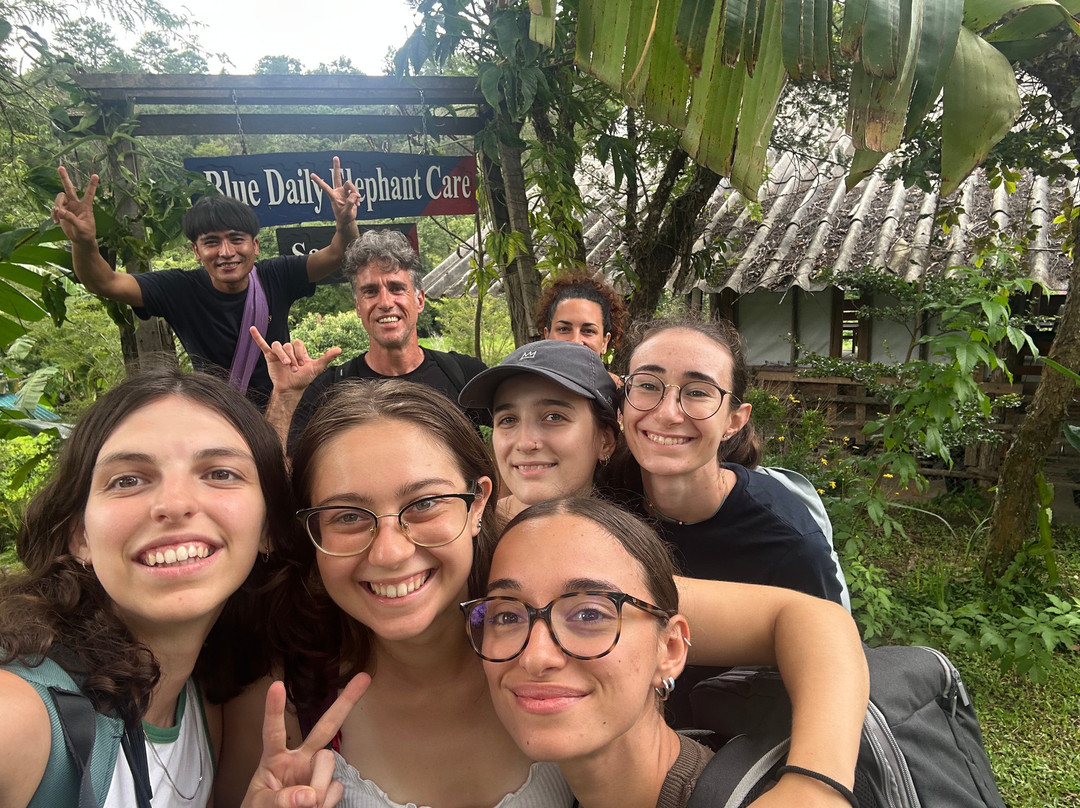 Blue Daily Elephant Care Sanctuary-清迈必去景点