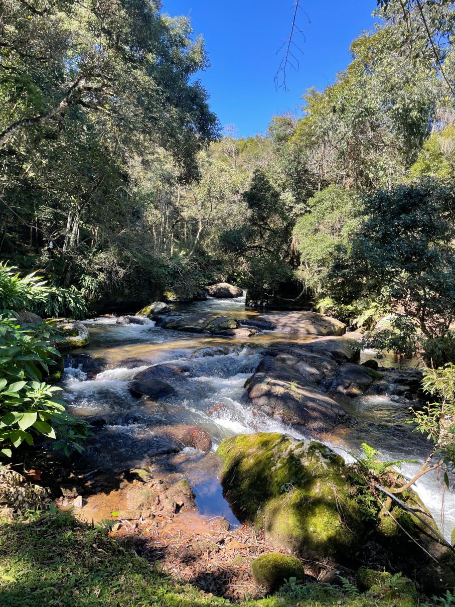 阿罗卡莉亚索拉尔旅馆-旅行者
