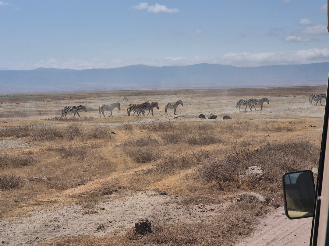 Furahia Tanzania Safari & Trekking Ltd-阿鲁沙必去景点