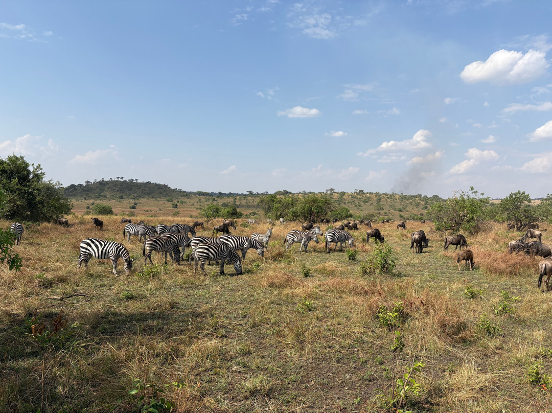 Furahia Tanzania Safari & Trekking Ltd-阿鲁沙必去景点