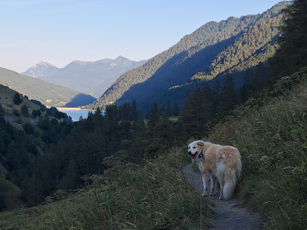 Lago di Pontechianale-Pontechianale必去景点