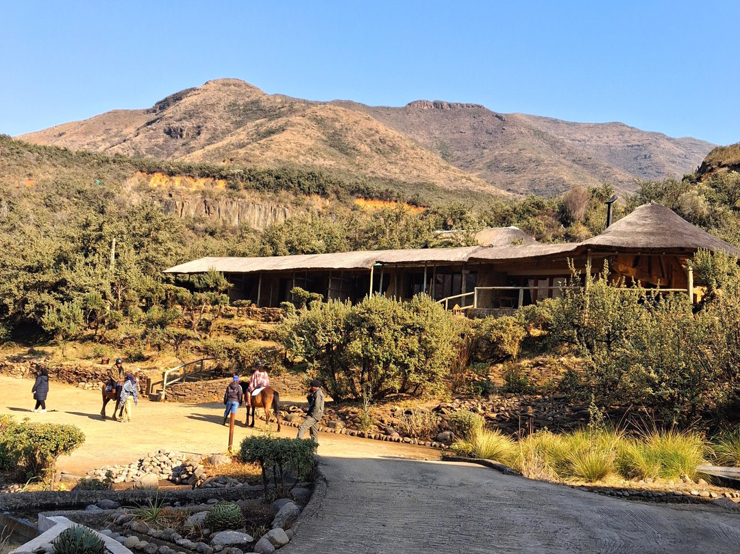 马利巴河山林小屋主图