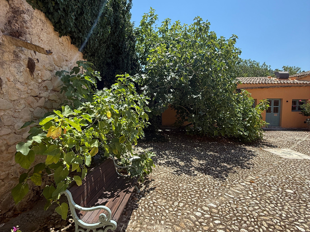 Planeta Winery-Sambuca di Sicilia必去景点