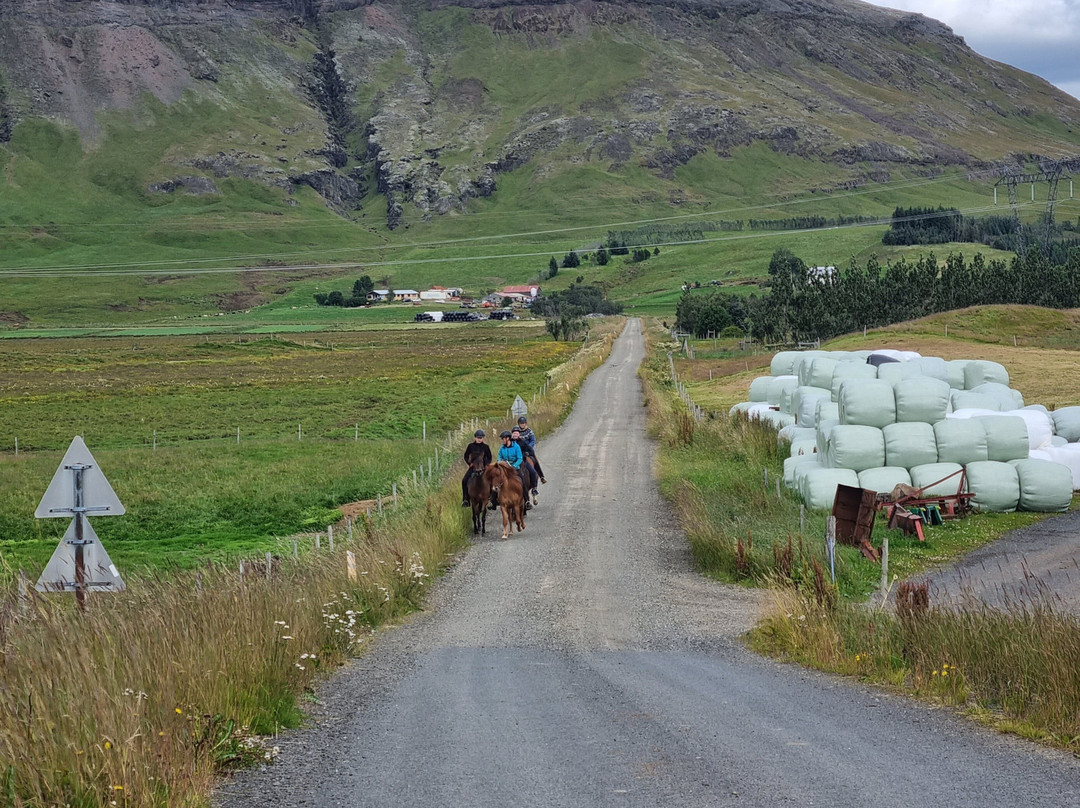 Vorsabær 2 - Horseback riding tours-塞尔福斯必去景点
