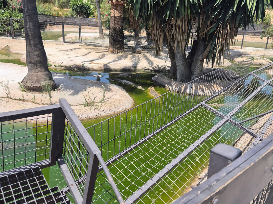 Crocodile Park-托雷莫里诺斯必去景点