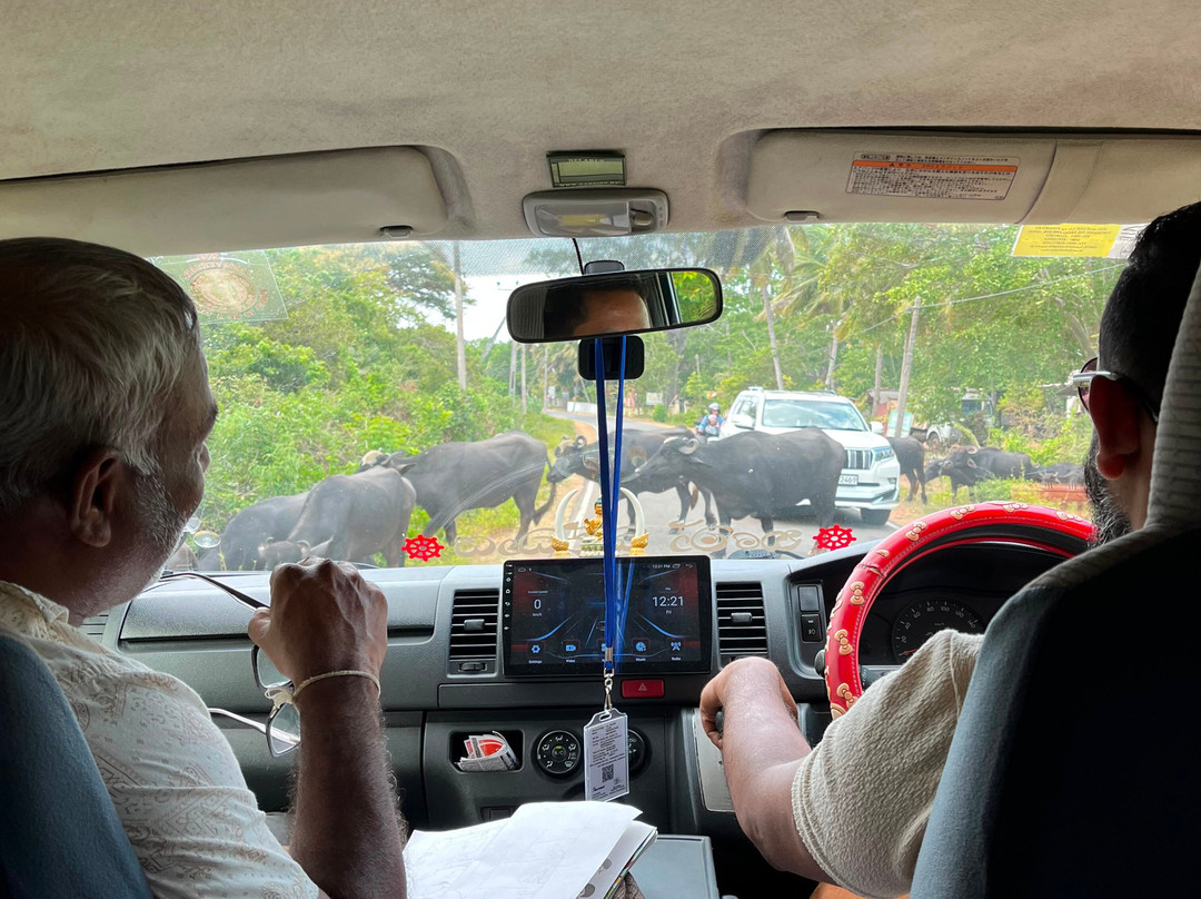 Personal Tour Drivers In Sri Lanka-Piliyandala必去景点