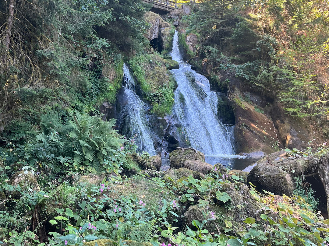 Triberg Waterfalls-特里贝格必去景点