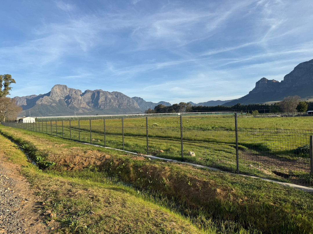 Franschhoek Wine Tram-法兰舒克必去景点