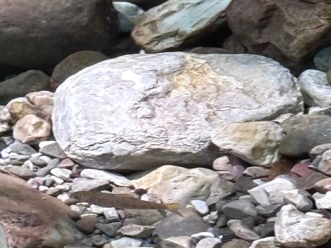 Orrido di Botri-Bagni di Lucca必去景点