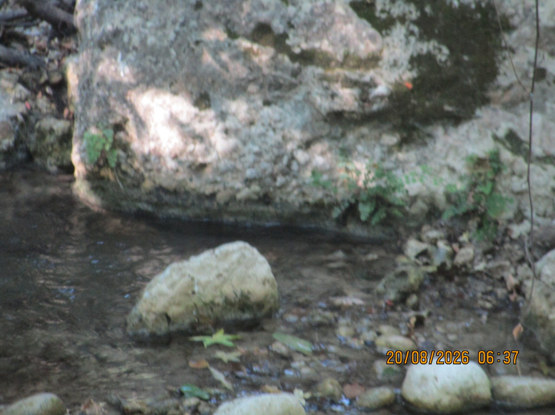 Butterflies Valley