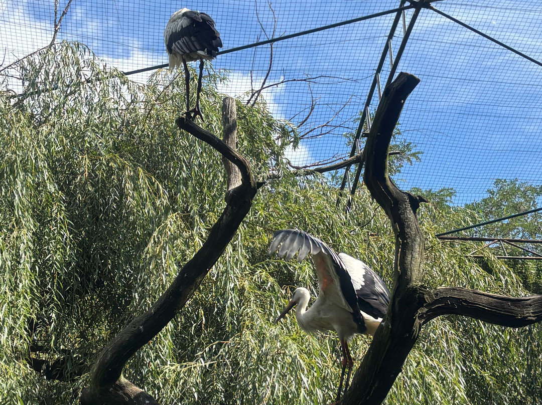 Zoopark Chomutov-霍穆托夫必去景点