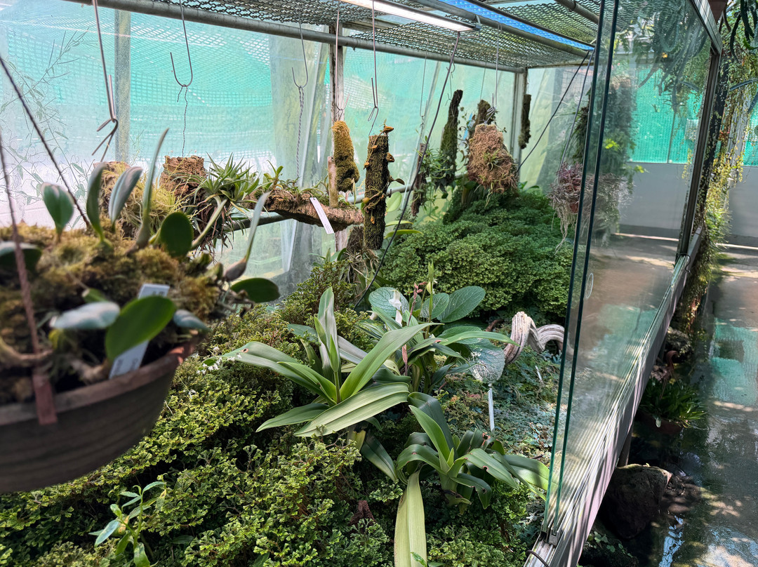 Zurich Succulent Plant Collection-苏黎世必去景点