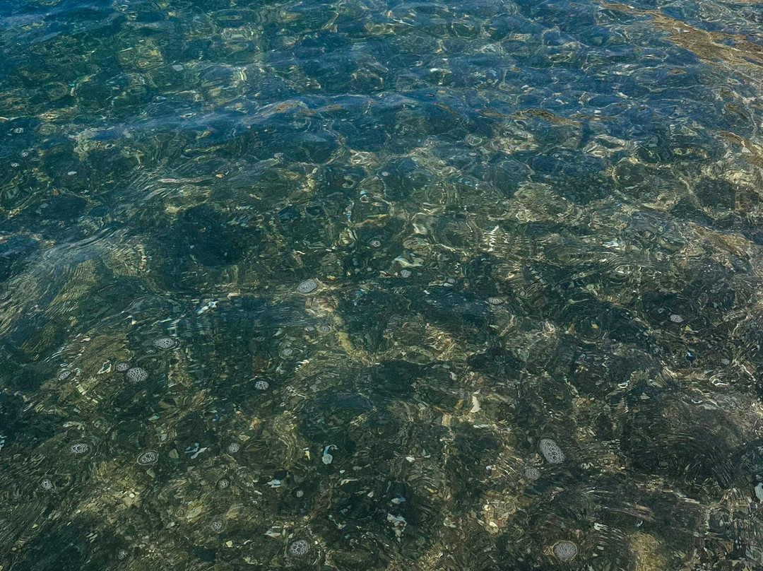 Spiaggia di Remaiolo-Capoliveri必去景点