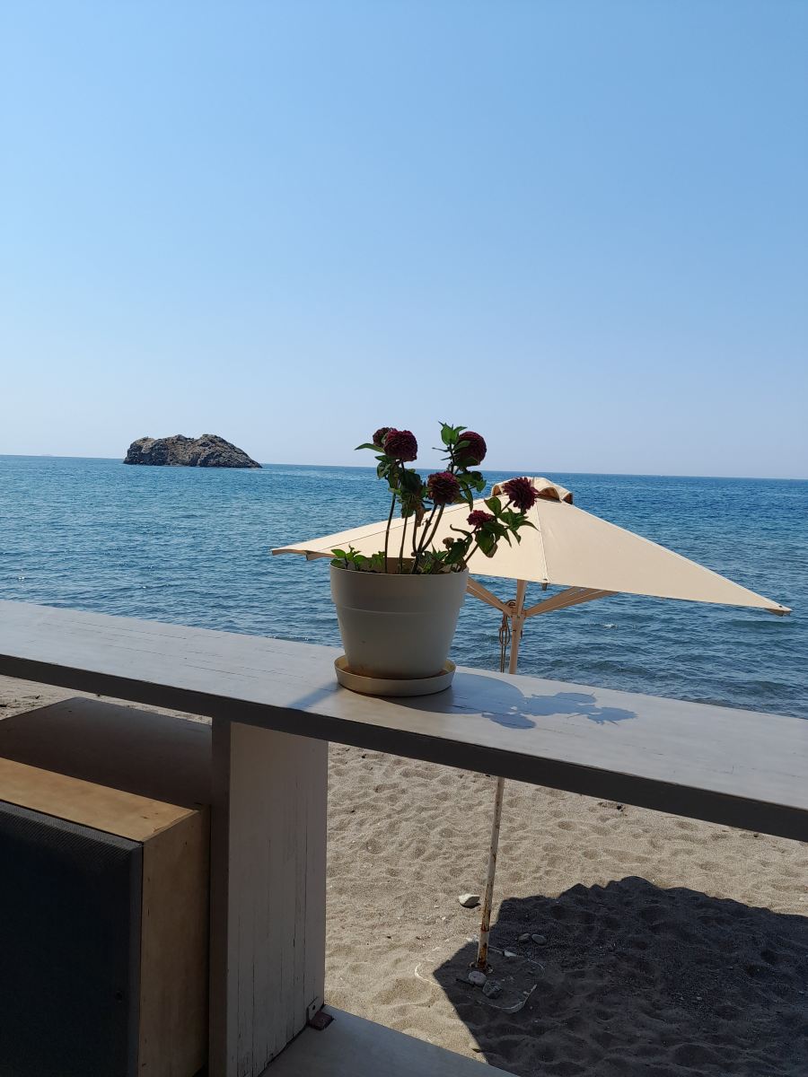 萨福酒店-旅行者
