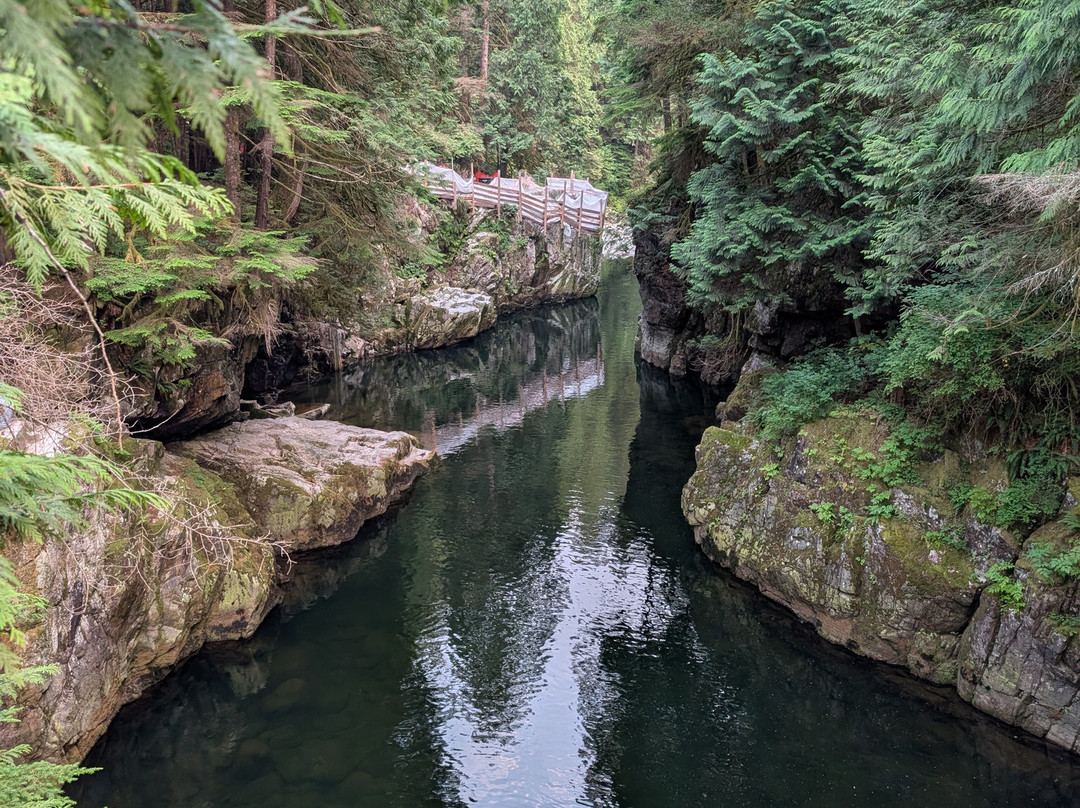 Capilano River Regional Park-北温哥华必去景点