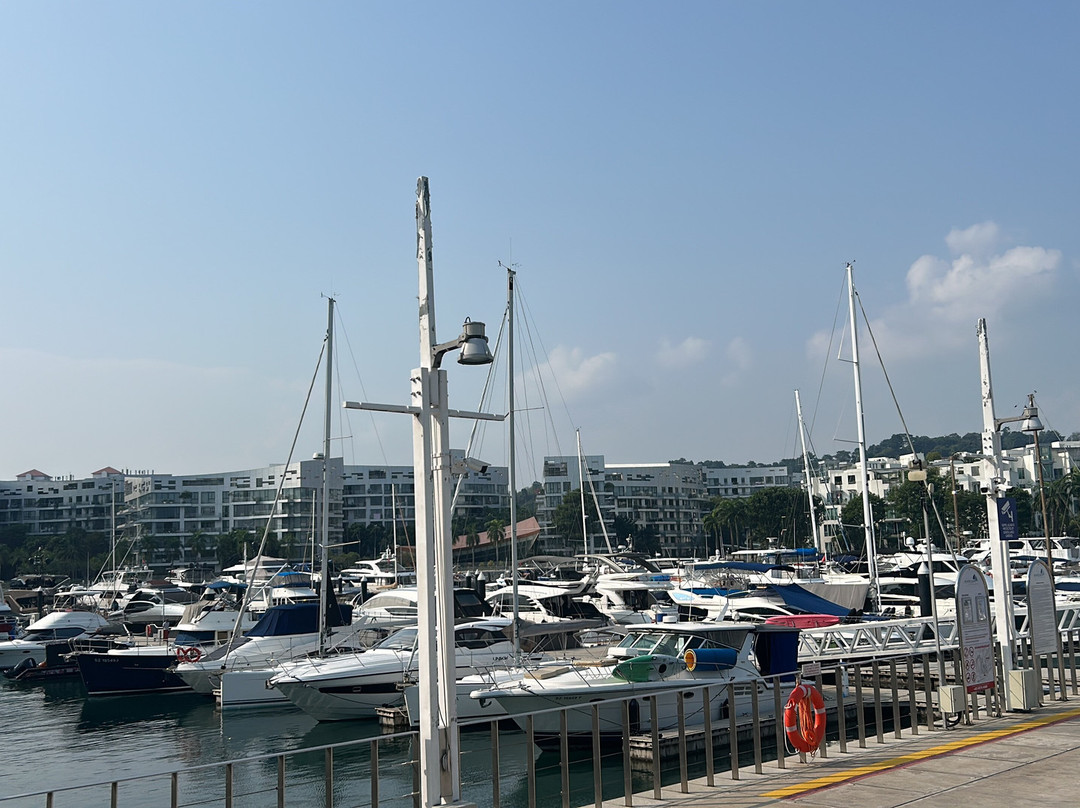 RHIB Rides Singapore-新加坡必去景点