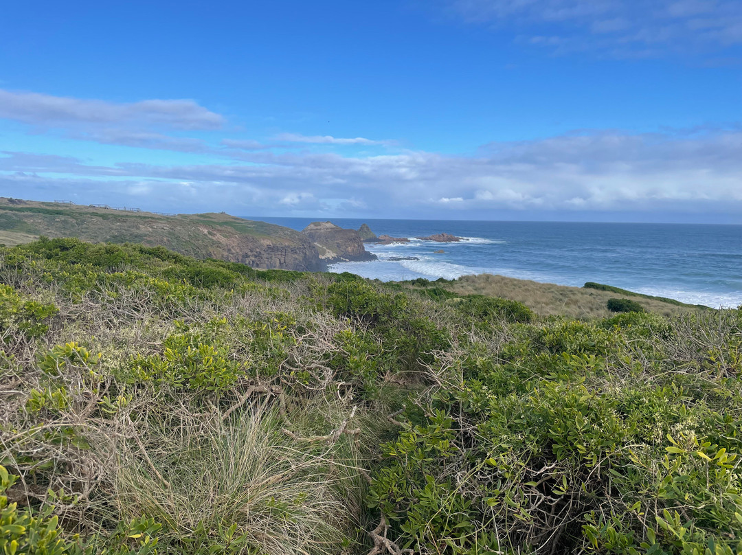 Storm Bay lookout