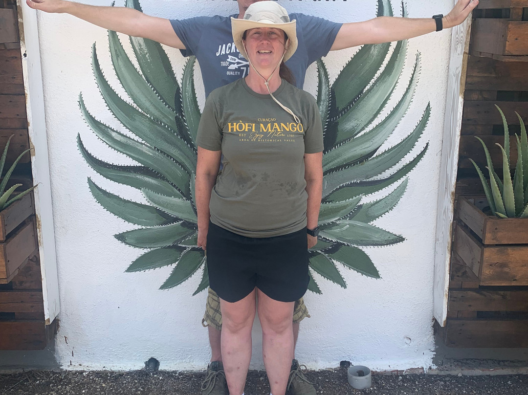 The Aloe Vera Curacao, Home of Curaloe Tour-威廉斯塔德必去景点