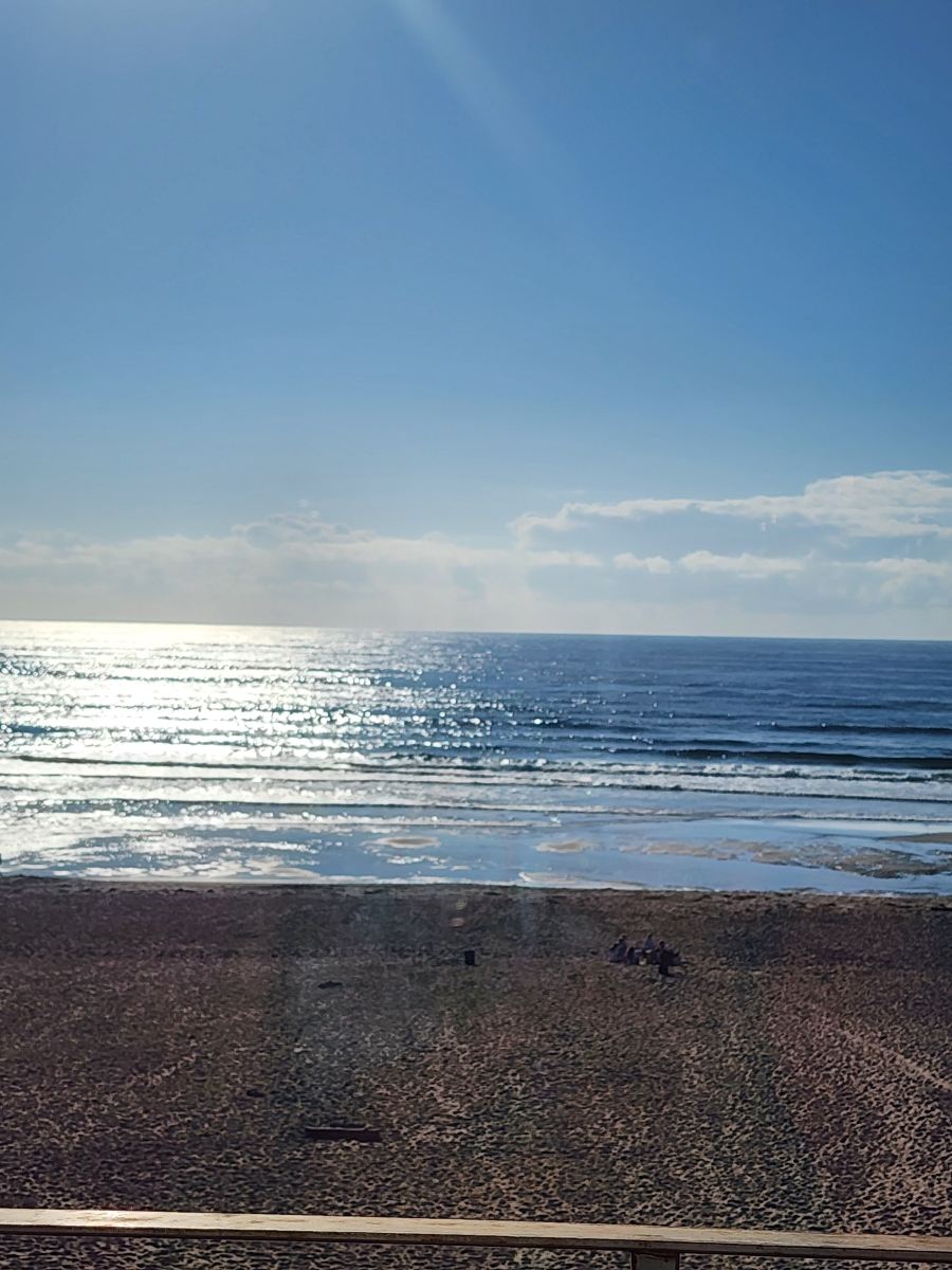 鹈鹕海岸酒店-旅行者