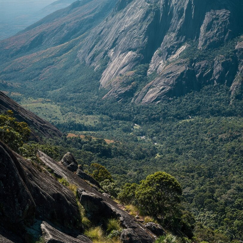 Mulanje Mountain Tour Guide-姆兰杰必去景点