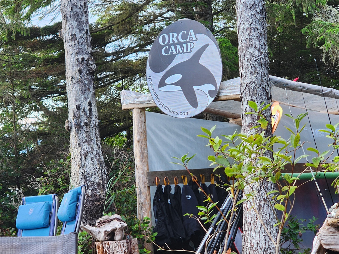 Grey Wolf Expeditions-黑溪必去景点